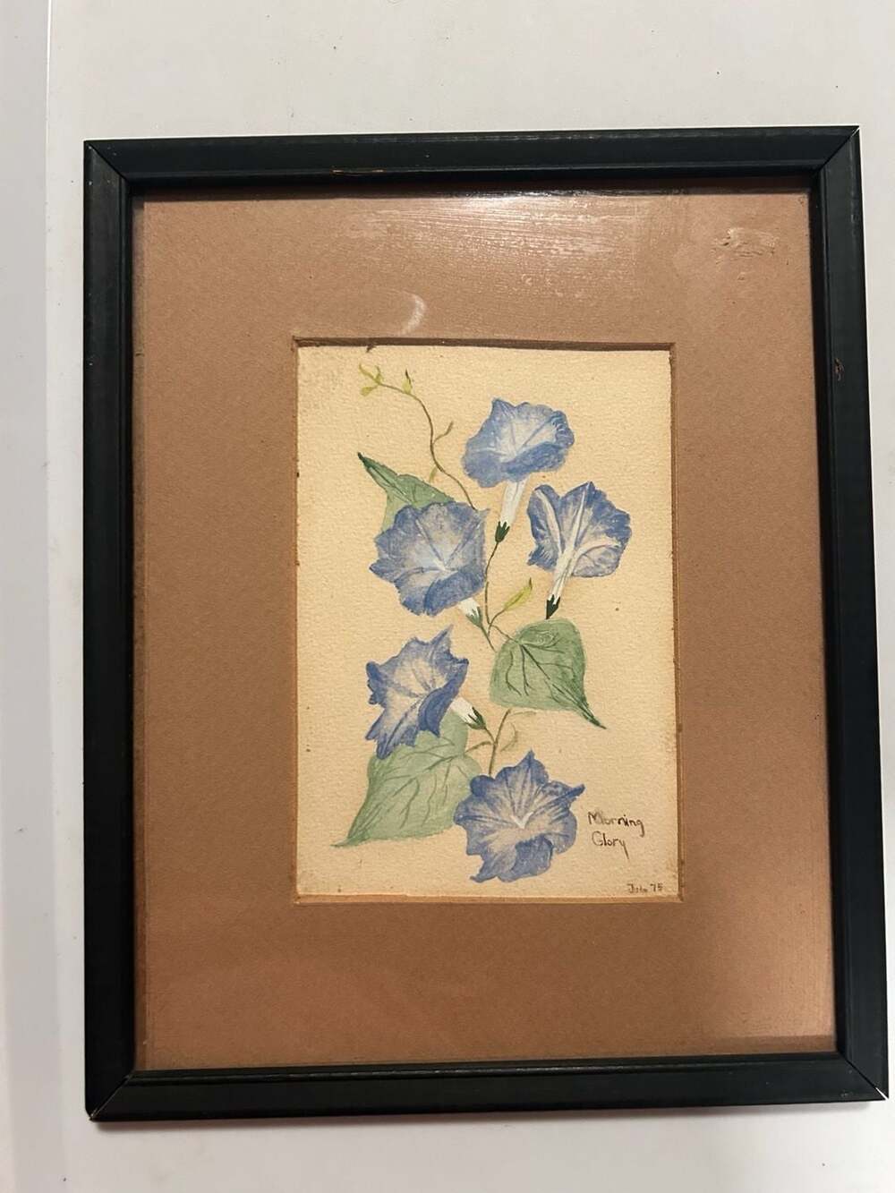 Vintage 1975 Original Morning Glory Watercolor Painting in Framed Matted Display